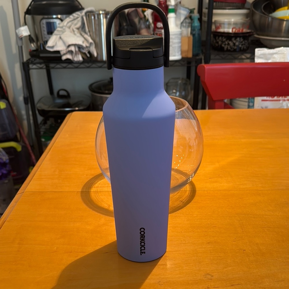Corkcicle Purple Water Bottle NWT